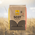 Petra 5037